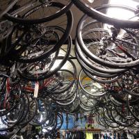 Bikes for sale hanging on ceiling