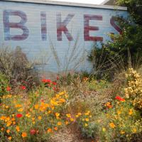 "Bike" mural at the Pedaler