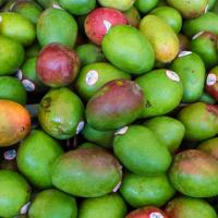 Grocery Outlet fruits