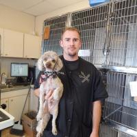 Animal Care Clinic grooming